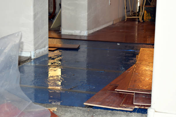 Professional Flood Cleanup technician working in Pearlington, MS